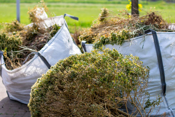 Best Mattress Removal Service  in Comer, GA